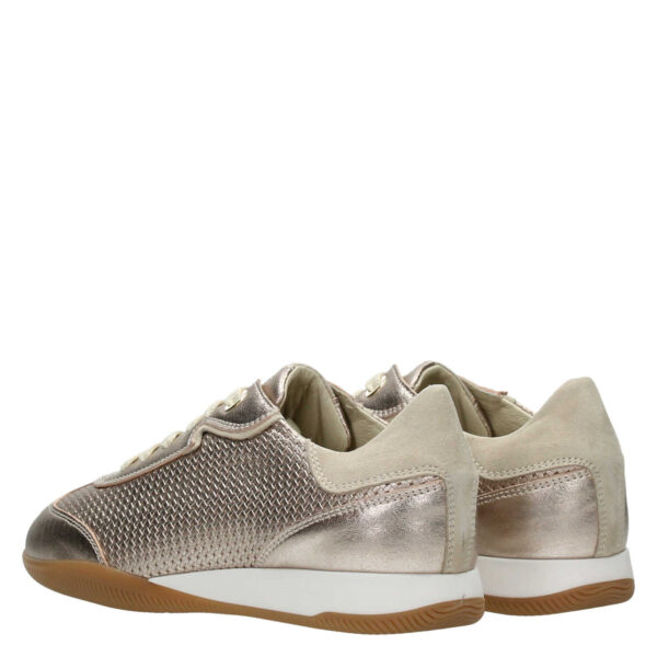 DL Sport - 6256