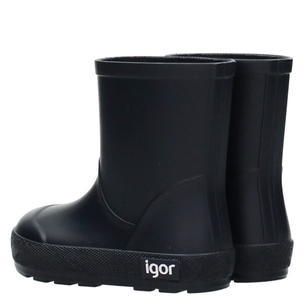 Igor W10291